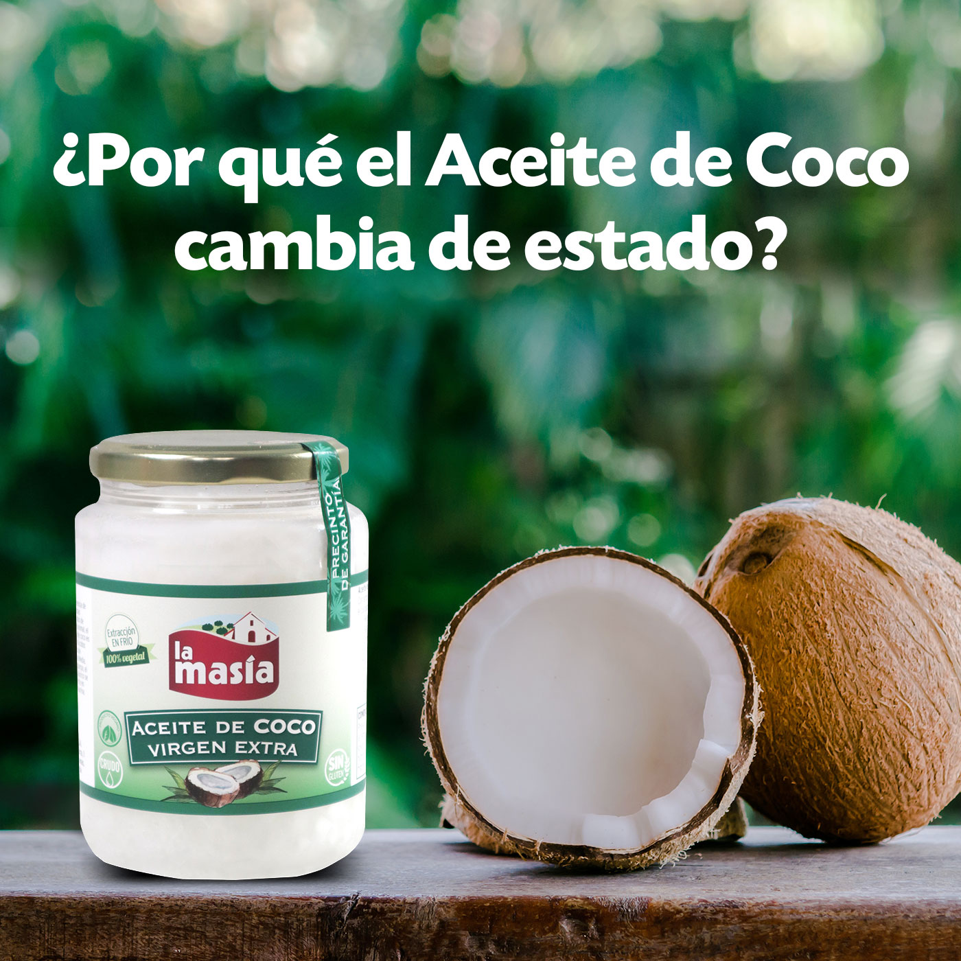 Por qué el Aceite de Coco Virgen Extra cambia de estado? | Aceites la masia